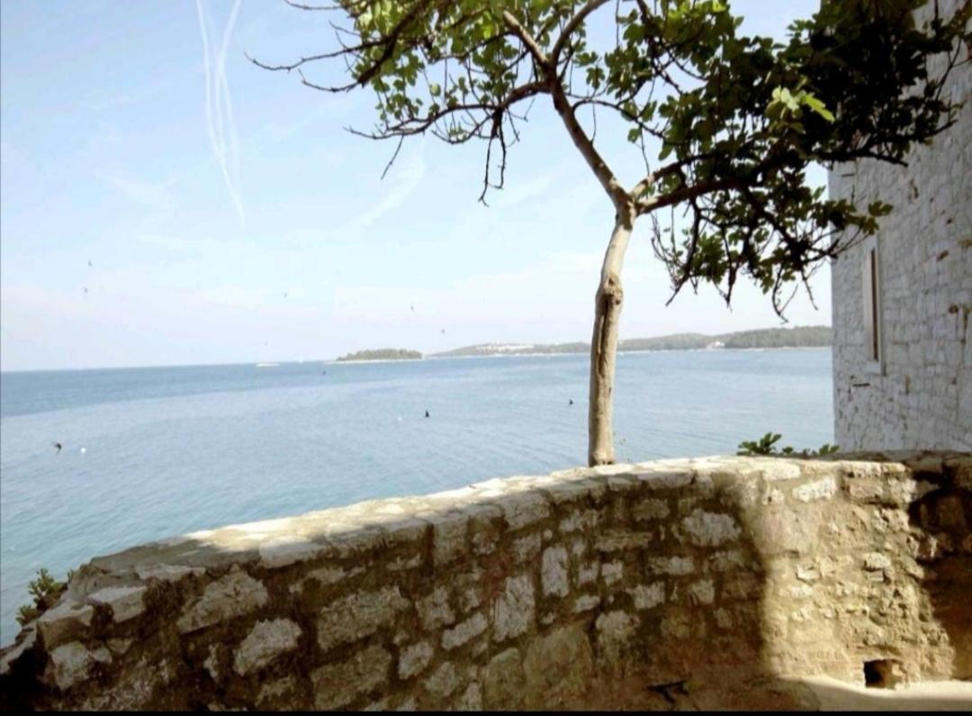 Apartment Martin - 10 Mt To The Beach Rovigno Esterno foto