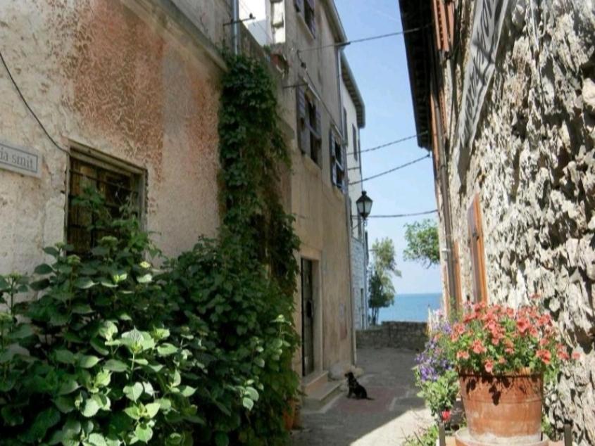 Apartment Martin - 10 Mt To The Beach Rovigno Esterno foto